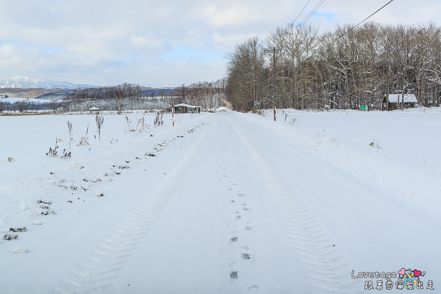 深雪道路