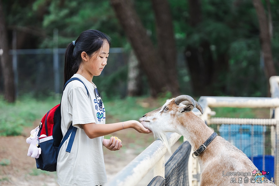 海之中道餵動物