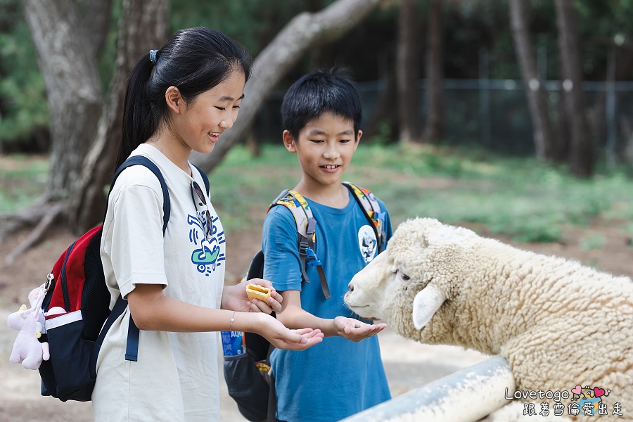 海之中道餵動物