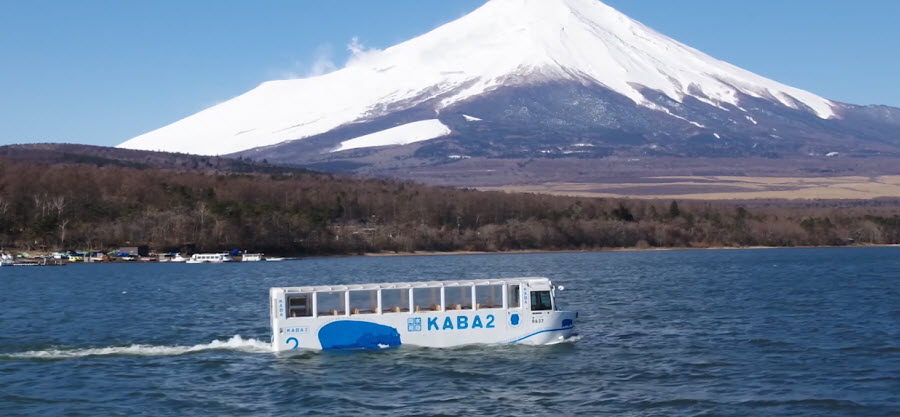 山中湖河馬